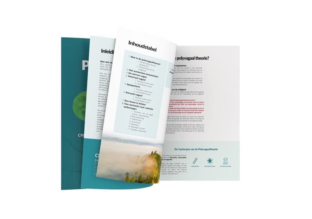 E-book Stress And Trauma Management (Dutch only)